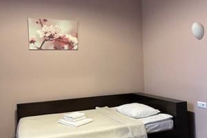 Отель Государь. Комфорт одноместный  1