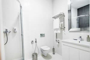 Отель Государь. Люкс двухместный №10 (однокомнатный) 4