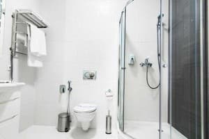 Отель Государь. Люкс двухместный №11 (двухкомнатный) 5