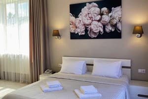 Отель Государь. Люкс двухместный для молодоженов (двухкомнатный) 17