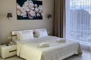 Отель Государь. Люкс двухместный для молодоженов (двухкомнатный) 9