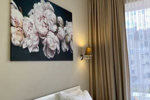 Отель Государь. Люкс двухместный для молодоженов (двухкомнатный) 6