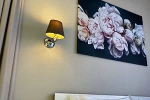 Отель Государь. Люкс двухместный для молодоженов (двухкомнатный) 18