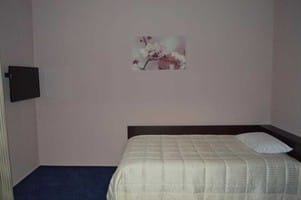 Отель Государь. Стандарт одноместный  2