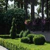 Grand Aristocrate 19-20/27