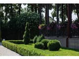 Grand Aristocrate 19