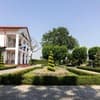 Grand Aristocrate 20-21/27