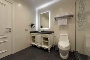Отель Grand Royal. Делюкс двухместный  7