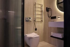 Отель Greblya Boutique Hotel  SPA. Делюкс двухместный  5