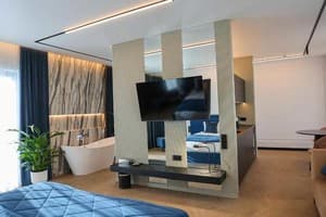 Отель Greblya Boutique Hotel  SPA. Студио двухместный Делюкс 4