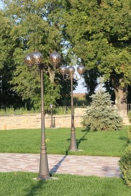 Green villa 8