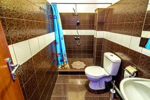 Готель Грінотель / Greenhotel. Люкс двомісний  2