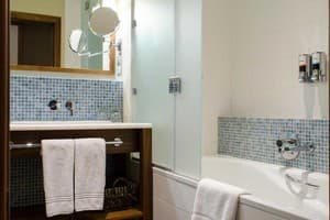 Отель Хортица Палац. Улучшенный двухместный Tower 5