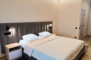 Отель Hotel Palace Ukraine. Делюкс   2