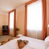 Отель Ирена. Стандарт двухместный (Double Room) 1