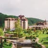 Ірис 6-7/20