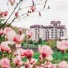 Ірис 8-9/20