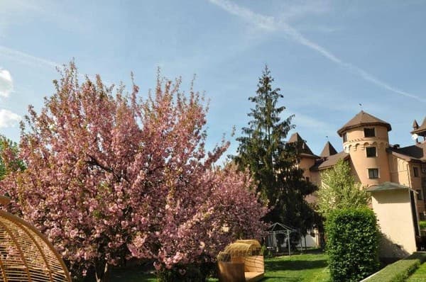 Kamelot Hotel Resort & SPA 14
