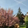 Kamelot Hotel Resort & SPA 14-15/34