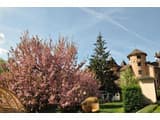 Kamelot Hotel Resort & SPA 14