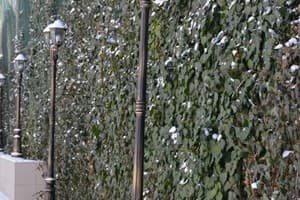 Каравелла Всегда есть свет! 8