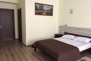 Отель Карпаты. Стандарт двухместный  1