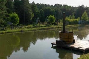 Кот Баюн и Кривенькая уточка 13