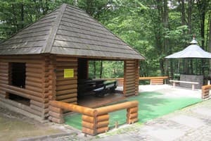 Квелле Поляна 4