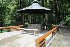 Квелле Поляна 5