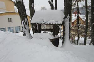 Квелле Поляна 8