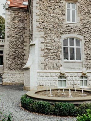 Lion's Castle 1