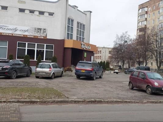 Луцк сутки Базилик 4