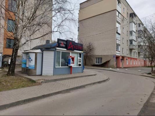 Луцк сутки Базилик 5