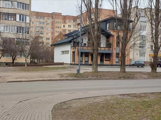 Луцк сутки Базилик 6