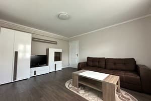 Квартира Lutsk Apartment на ул. Леси Украинки 19. Люкс двухместный (2+1) 1