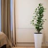 Апарт-отель MM GROUP APARTMENT. Стандарт трехместный  13