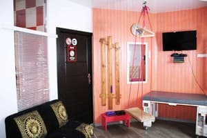 Мини-отель Mamba Hotel. №8 Семейный номер с качелью - в укрытие 8