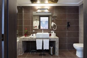 Спа-отель Mirotel Resort & Spa. Люкс двухместный Премьер 4