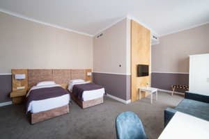 Отель Modern Art-hotel. Комфорт двухместный улучшенный 6