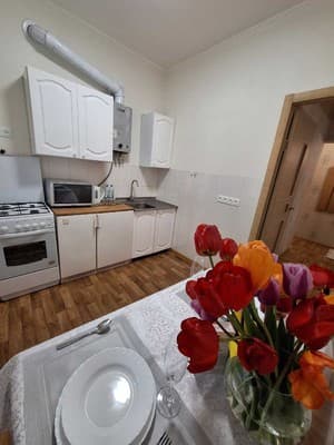 На Садовом. Alex Apartments (бесконтактное поселение 24/7) 5