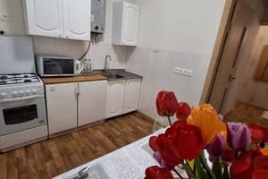 На Садовом. Alex Apartments (бесконтактное поселение 24/7) 5