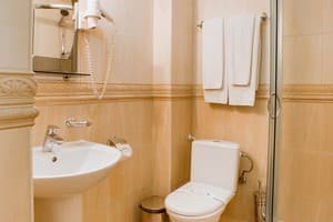 Отель Наталия 18. Стандарт двухместный  3