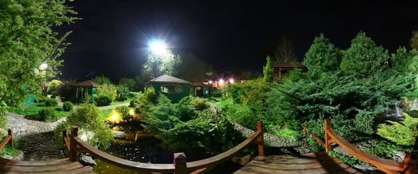 Навария Нова (Navaria Nova) 15