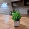 Квартира New studio apartments in center. Апартаменты двухместный №39 6