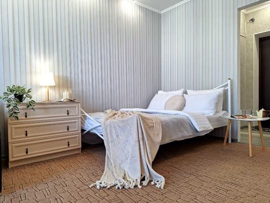 Однокомнатная с 2 кроватями, ванной и кондиционером. Alex Apartments 7