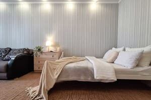 Квартира Однокомнатная с 2 кроватями, ванной и кондиционером. Alex Apartments. Апартаменты двухместный  14