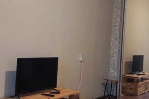 Квартира Однокомнатная в центре на проспект Центральный 186. Апартаменты двухместный  1