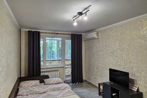 Однокомнатная в центре, проспект Центральный 184 11