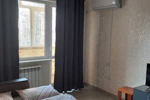 Квартира Однокомнатная в центре, проспект Центральный 184. Апартаменты двухместный  1