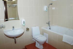 Отель Optima Collection Парк Отель Ивано-Франковсk. Супериор двухместный  Double 4